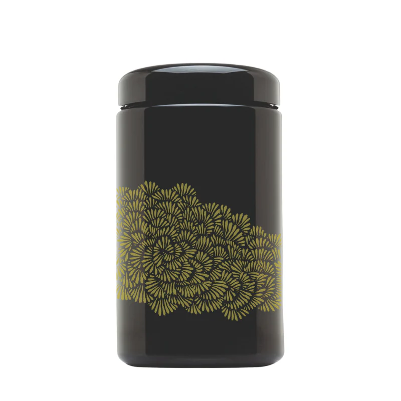 Dara Kennedy Relax Infusion